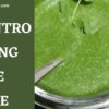 Cilantro Dipping Sauce Recipe