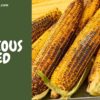 Delicious Roasted Maize