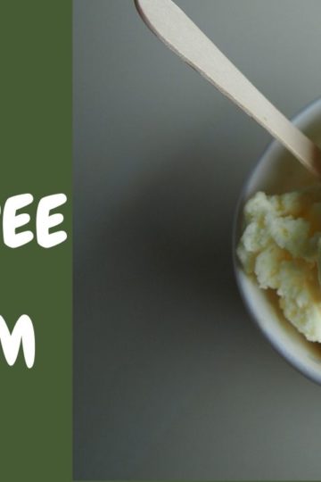 Dairy-free Vanilla Ice Cream Recipe